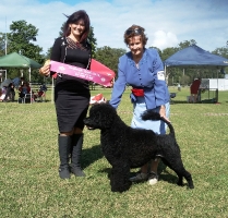Mayborough Kennel Club Best Intermediate Abwaj Our River Runs Deep
